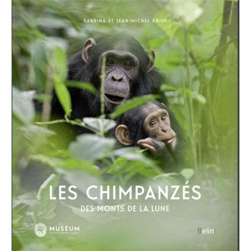 Les Chimpanzés Des Monts De La Lune