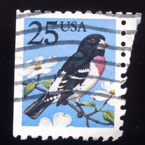 Timbre U S A, Oiseau, Bord De Planche, 25 Cents Oblitéré