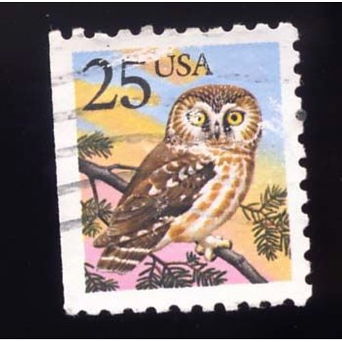 Timbre U S A, Chouette, 25 Cents Oblitéré