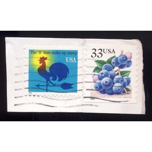 Timbre U S A The H Rate Make Up Stamp De 1998, Pas De Valeur Faciale, Et Baies Des Bois, 33 Cents Oblitéré