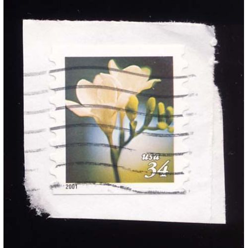 Timbre U S A Fleur, 34 Cents Oblitéré