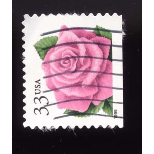 Timbre U S A, Rose, Bord De Planche, 33 Cents, Oblitéré