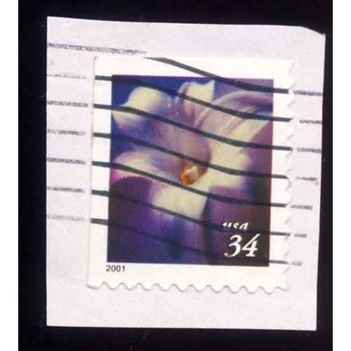 Timbre U S A, Fleur, Bord De Planche, 34 Cents, Oblitéré