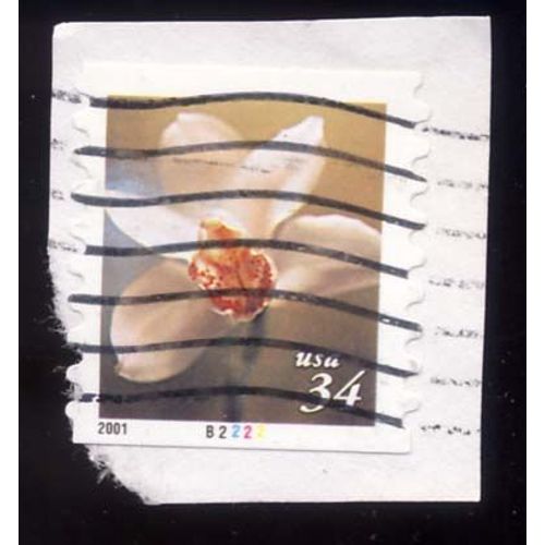 Timbre U S A, Fleur, 34 Cents, Oblitéré
