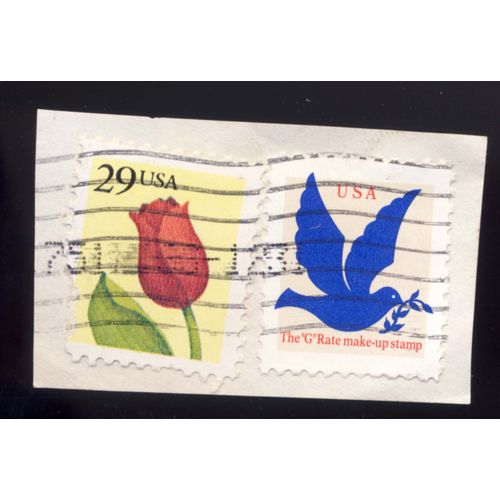 Timbre U S A, Tulipe 29 Cents, Colombe De La Paix, The "G" Rate Make-Up Stamp, Oblitéré