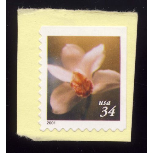 Timbre U S A, Fleur, Coin De Planche, 34 Cents, Non Oblitéré