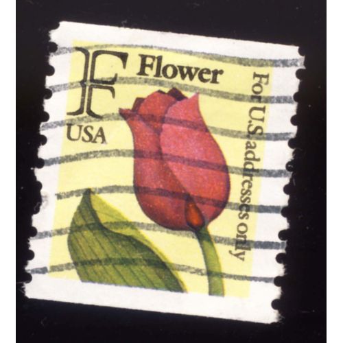 Timbre U S A, Tulipe For U.S. Adress Only, Catégorie F, Oblitéré