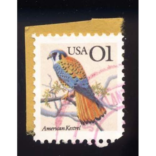 Timbre U S A, American Kestrel,  Catégorie O1, Oblitéré