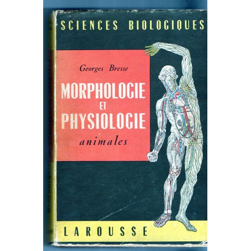 Morphologie Et Physiologie