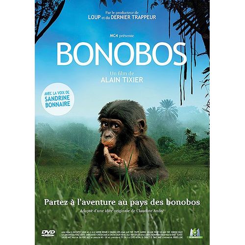 Bonobos