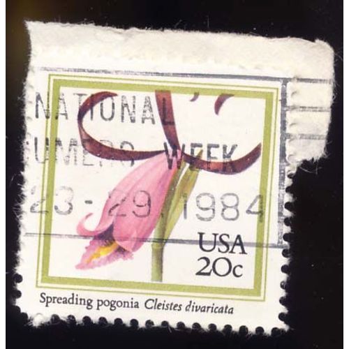 Timbre U S A, Spreading Pogonia Cleistes Divaricata, 20 Cents, Oblitéré
