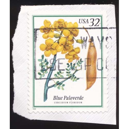 Timbre U S A, Blue Paloverde, Cercidium Floridium, 32 Cents, Oblitéré