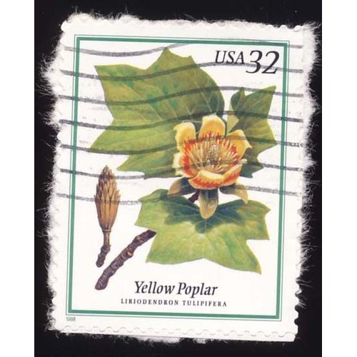 Timbre U S A, Yellow Poplar, Liriodendron Tulipifera, 32 Cents, Oblitéré