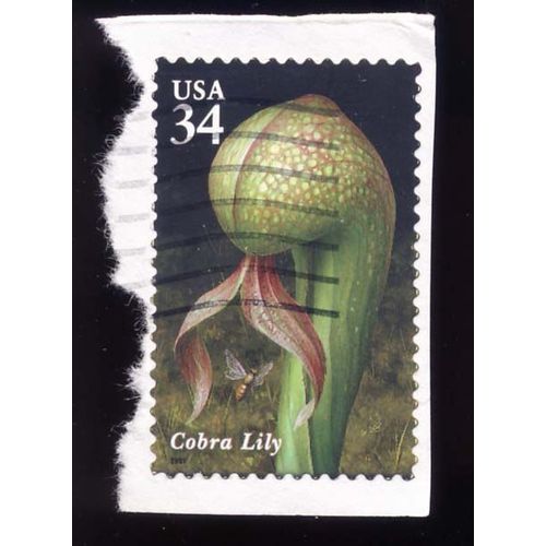 Timbre U S A, Cobra Lily, 34 Cents, Oblitéré