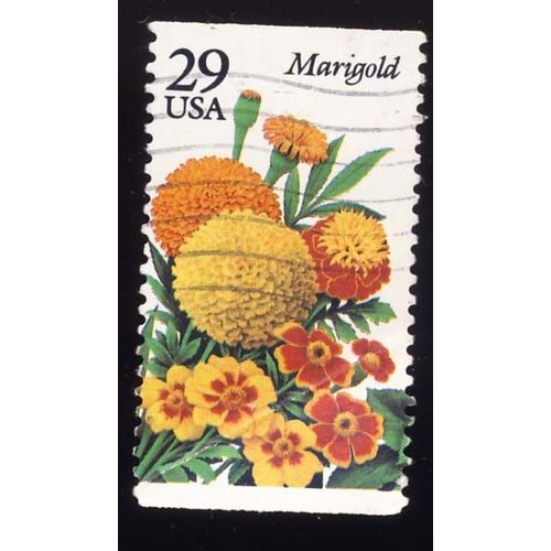 Timbre U S A, Marigold, 29 Cents, Oblitéré