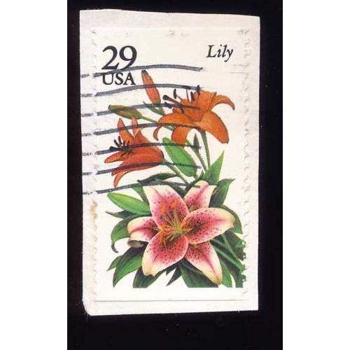 Timbre U S A, Lily, 29 Cents, Oblitéré