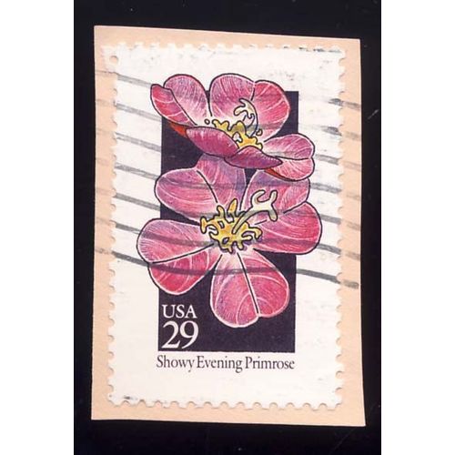Timbre U S A,, Showy Evening Primrose, 29 Cents, Oblitéré