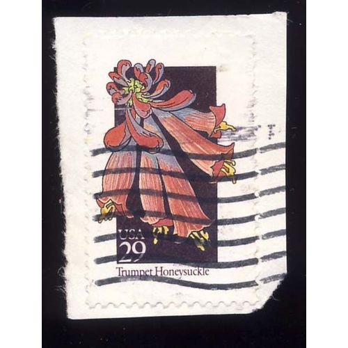Timbre U S A, Trumpet Honeysuckle, 29 Cents, Oblitéré