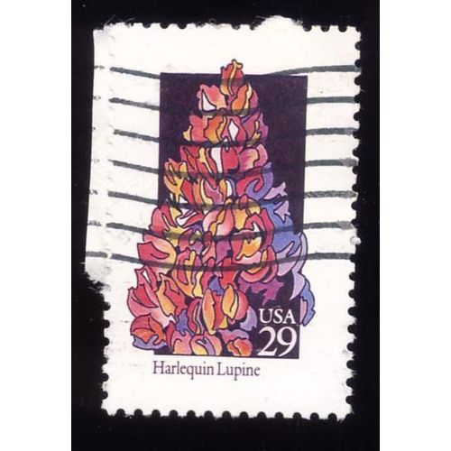 Timbre U S A, Harlequin Lupine, 29 Cents, Oblitéré
