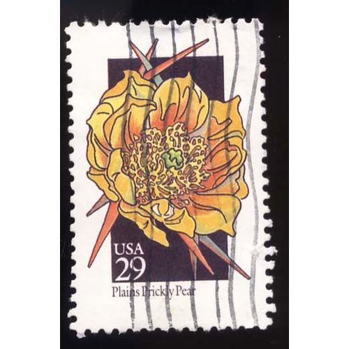 Timbre U S A, Plains Bricky Pear, 29 Cents, Oblitéré