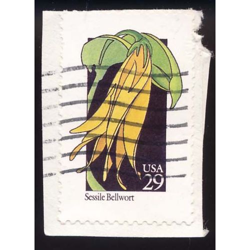 Timbre U S A, Sessile Bellwort, 29 Cents, Oblitéré