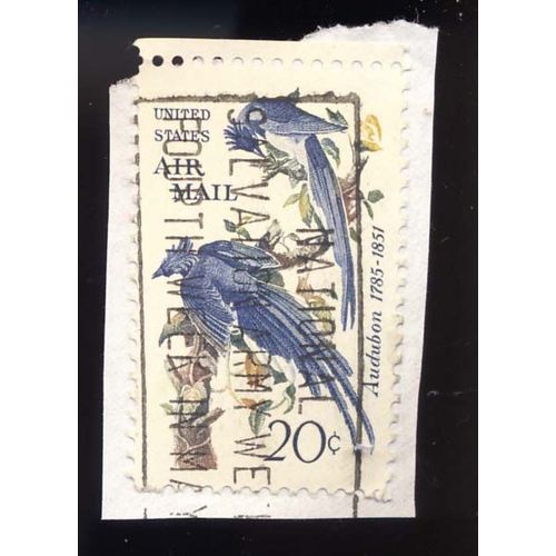 Timnre U S A, Us Air Mail, Audubon 1785-1851, 20 Cents, Oblitéré