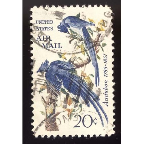 Timbre U S A, Us Airmail, Audubon 1785-1851, 20 Cents, Oblitéré