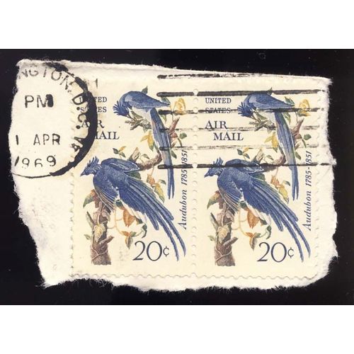 Timbre U S A, Us Airmail, Audubon 1785-1851, 20 Cents Oblitéré