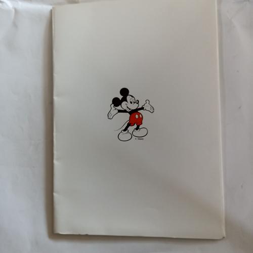 Chemise Cartonnée Mickey