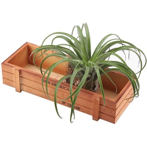 Jardiniere En Bois, Bac A Fleurs Rectangulaire Pour D'int¿¿Rieur/Ext¿¿Rieure De Pot De Jardin, 22,7 X10 X4,8cm