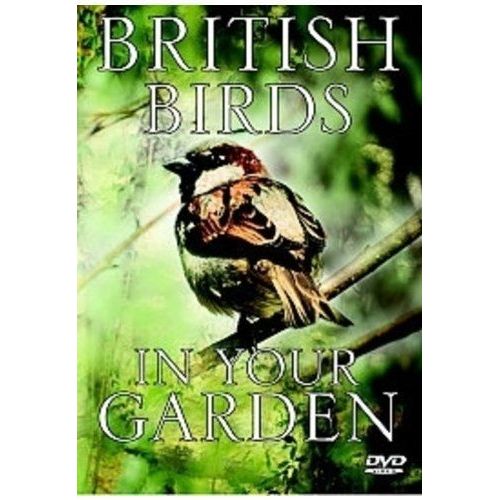 British Birds In Your Garden