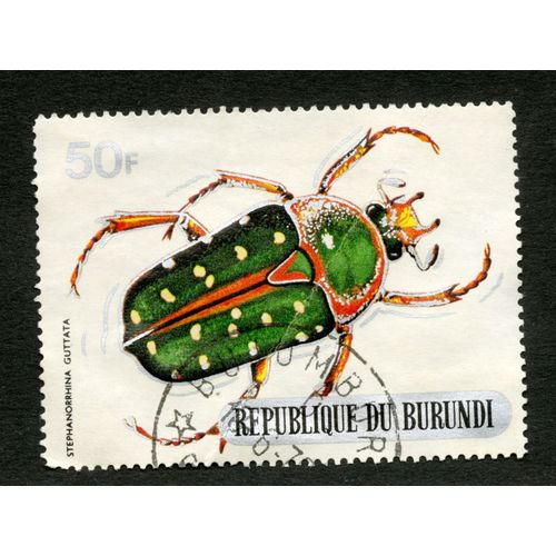 Timbre Oblitéré République Du Burundi, Stephanorrhina Guttata, 50 F