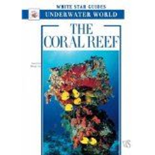 Coral Reef: Underwater World