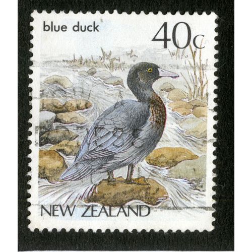 Timbre Oblitéré New Zealand, Blue Duck, 40 C