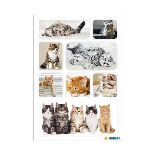 Herma Autocollants Decor "Chatons"