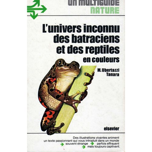 L'univers Inconnu Des Batraciens Et Des Reptiles