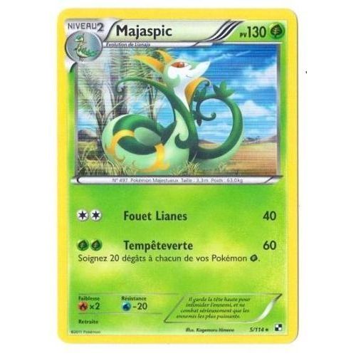 Majaspic Niv 2 Holo 'noir&blanc' 130 Pv 5/114