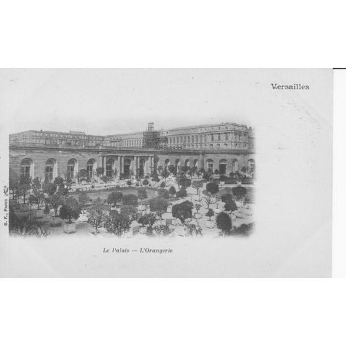 Versailles - Le Palais - L'orangerie - Carte Précurseur - 1er Choix - 061330