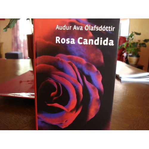 Rosa Candida