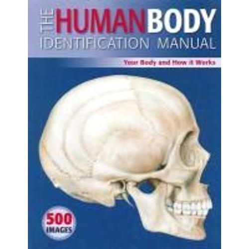 The Human Body Identification Manual: Your Body And How It Works