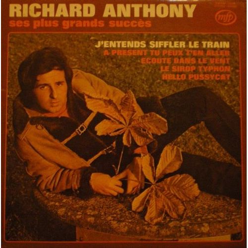 Lp « Ses Plus Grands Succès/74 »