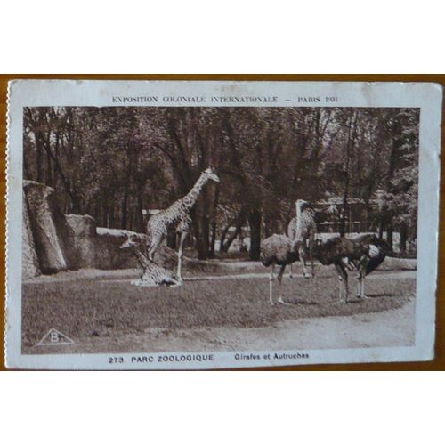 Carte Postale Ancienne - 273 - Exposition Coloniale Internationale - Paris 1931 - Parc Zoologique - Girafes Et Autruches