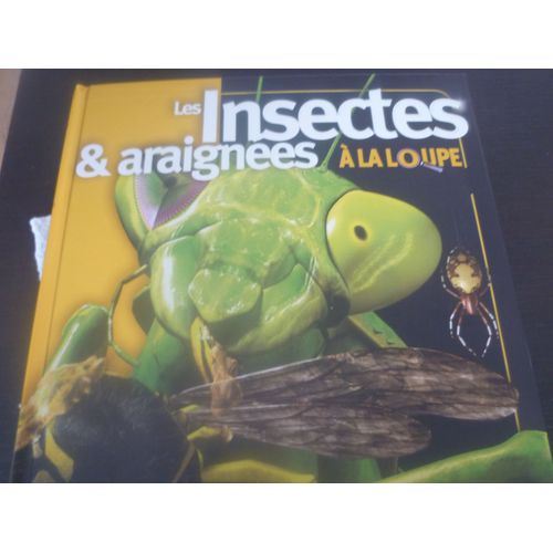 Insectes & Araignées A La Loupe