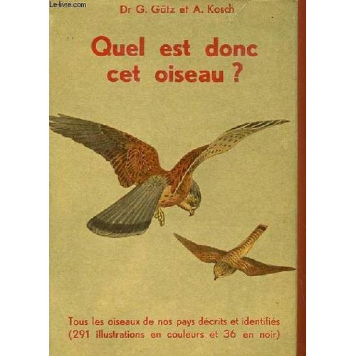 Quel Est Donc Cet Oiseau ?