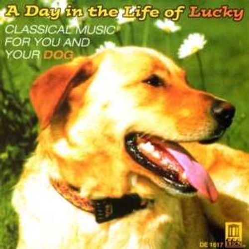 Antonio Vivaldi - Franz Joseph Haydn - Anonymous Classical Music For You And Your Dog - A Day In The Life Of Lucky