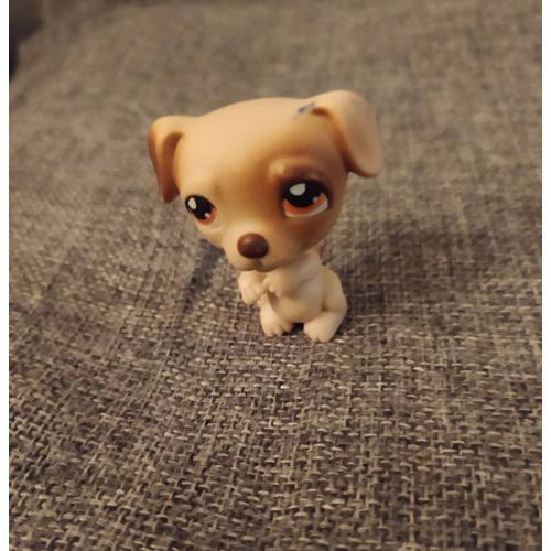 Petshop Chien Jack Russel Lps #109 Marron Beige Aux Yeux Orange