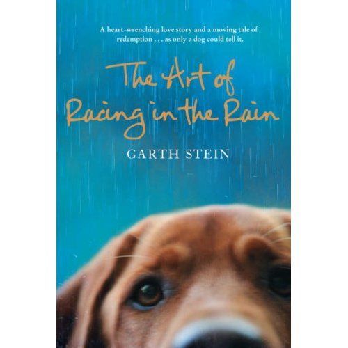 The Art Of Racing In The Rain
