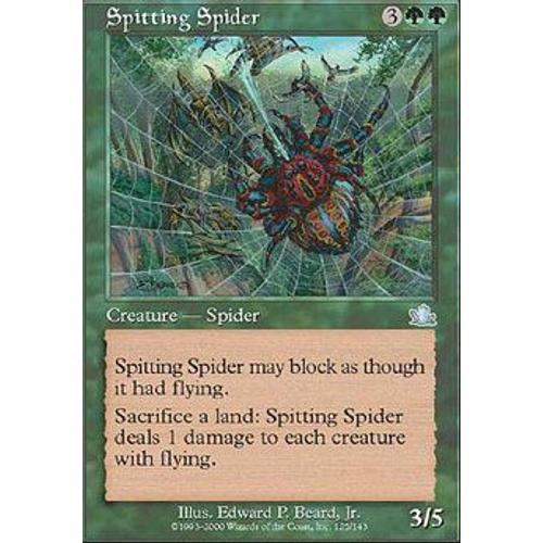 Araignée Cracheuse ( Spitting Spider ) - Magic Mtg - Prophetie Vf E 125 - U