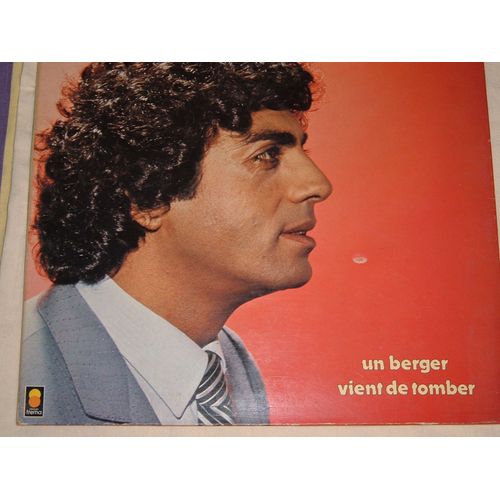 Un Berger Vient De Tomber