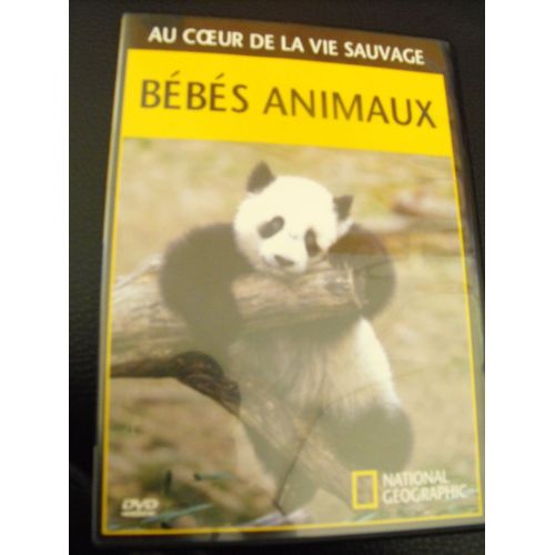 Au Coeur De La Vie Sauvage - Bébés Animaux - National Géographic